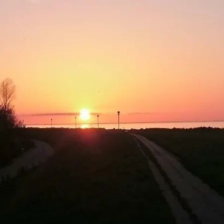 Daire Sonne 247